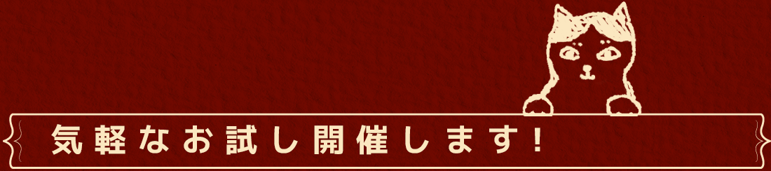 お気軽なお試し開催