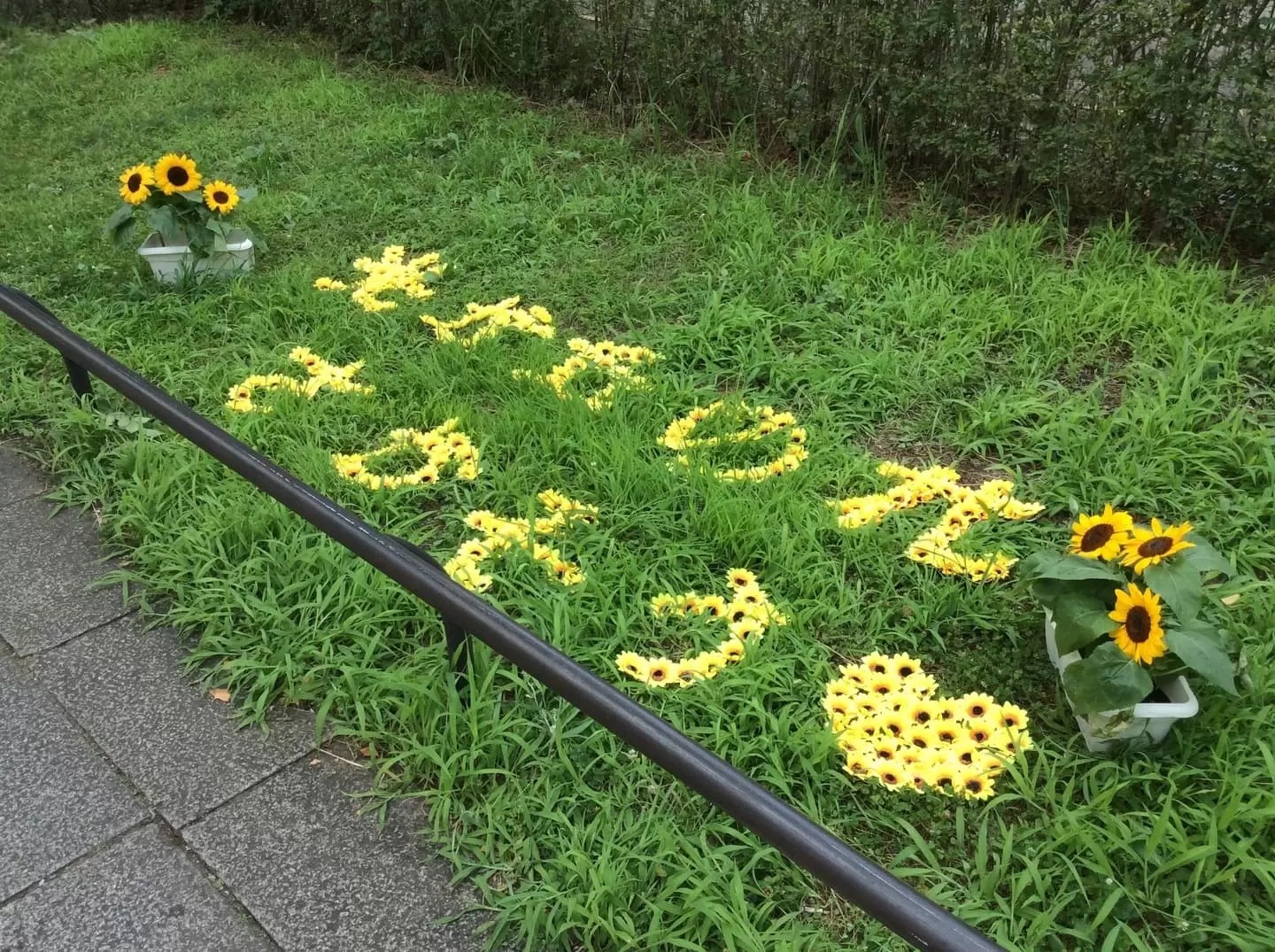 ハンドメイドメインイメージ